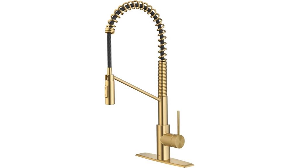 brushed brass pull down faucet