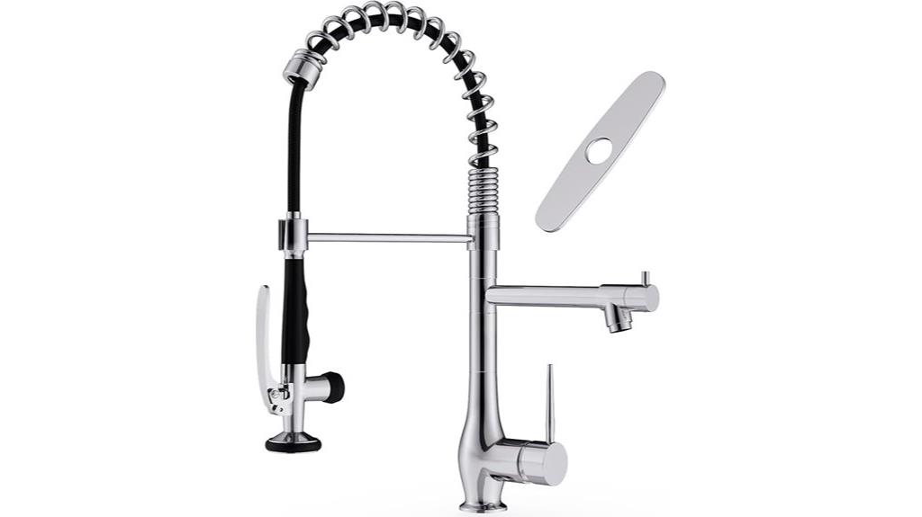 chrome faucet with pull down