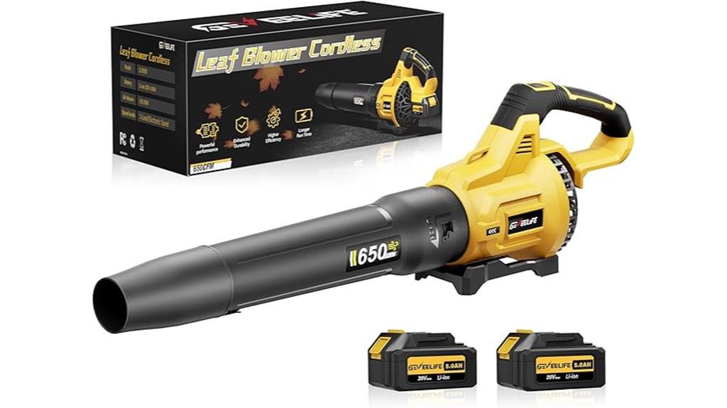 cordless leaf blower 2 batteries