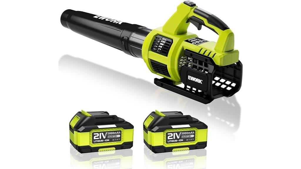 cordless leaf blower kit