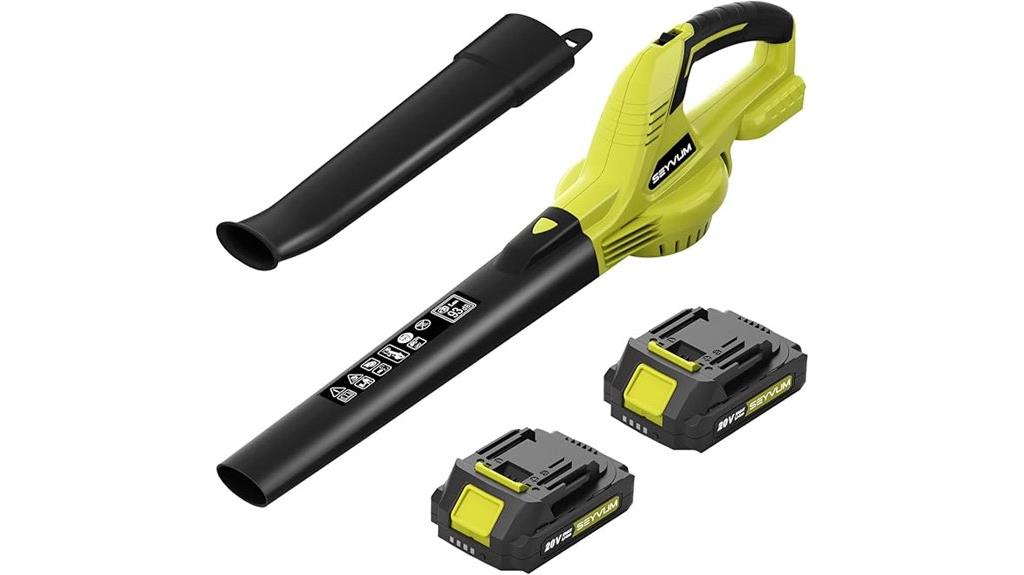 cordless leaf blower set