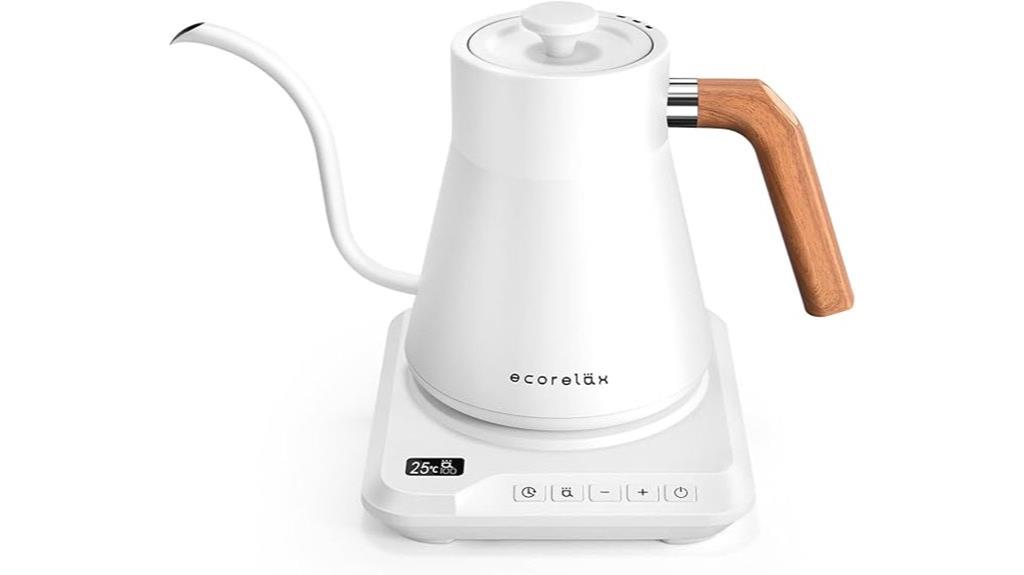 electric kettle with temperature control