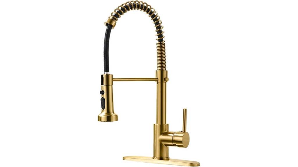 gold pull down kitchen faucet