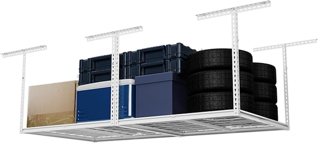 heavy duty ceiling storage