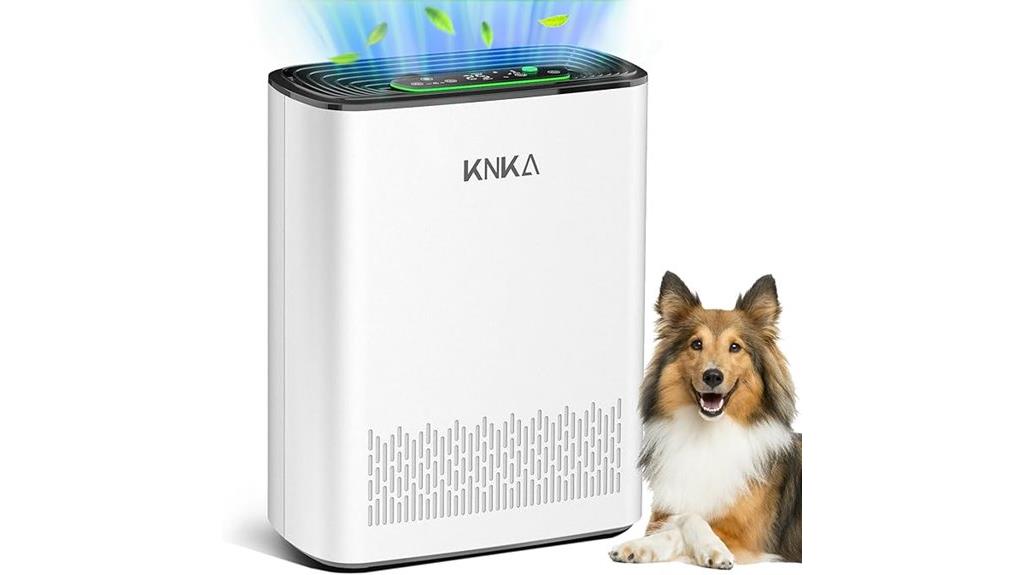 large room hepa purifier