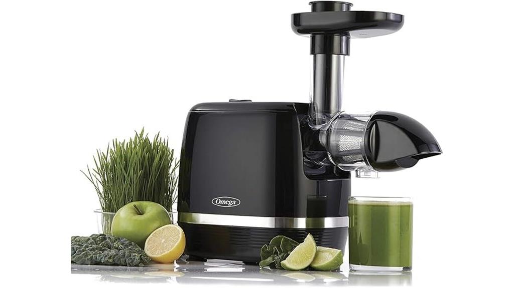omega h3000r slow juicer