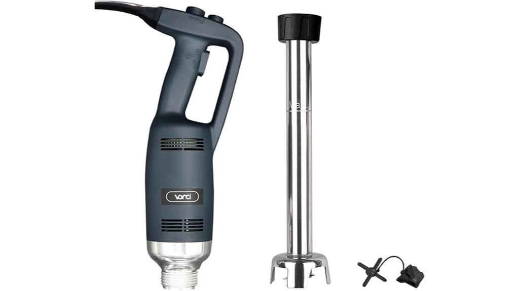 powerful commercial immersion blender