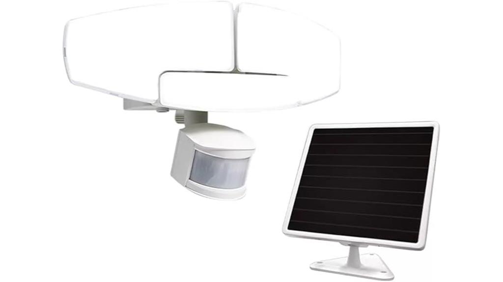 solar security light