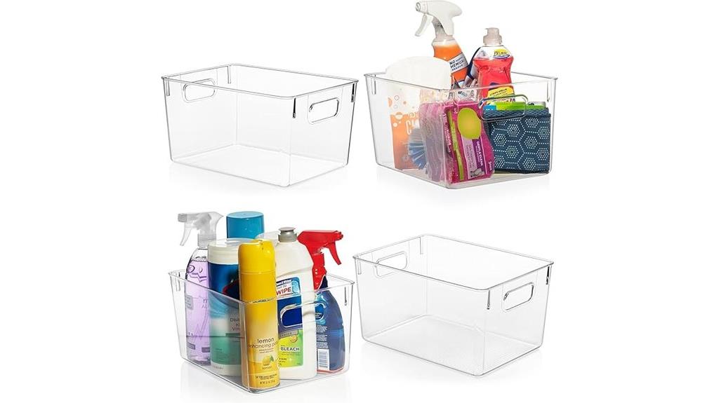 transparent storage bin organization