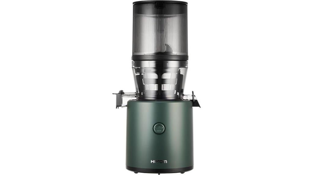 vegetable and fruit juicer