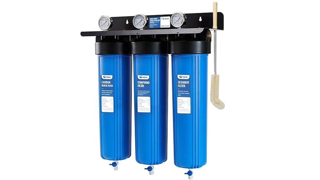 whole house filtration system
