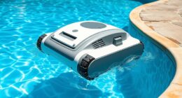 affordable pool cleaner picks