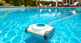 effective popular pool cleaning