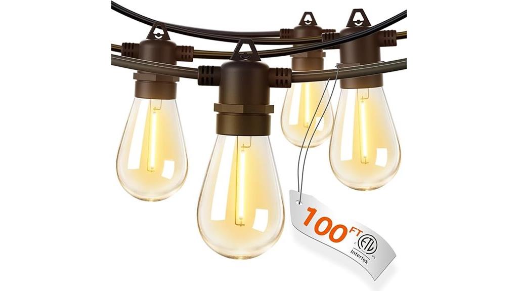 100ft led edison bulb string