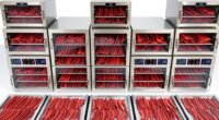 best jerky dehydrator picks