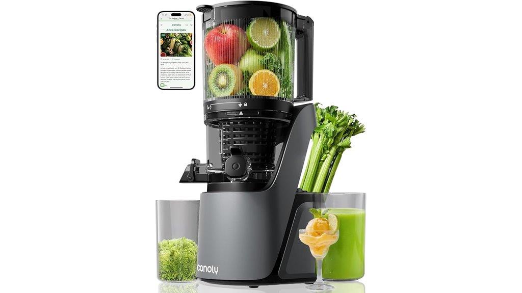 cold press juicer features