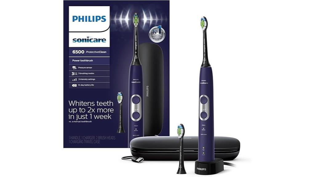 dual rechargeable electric toothbrushes
