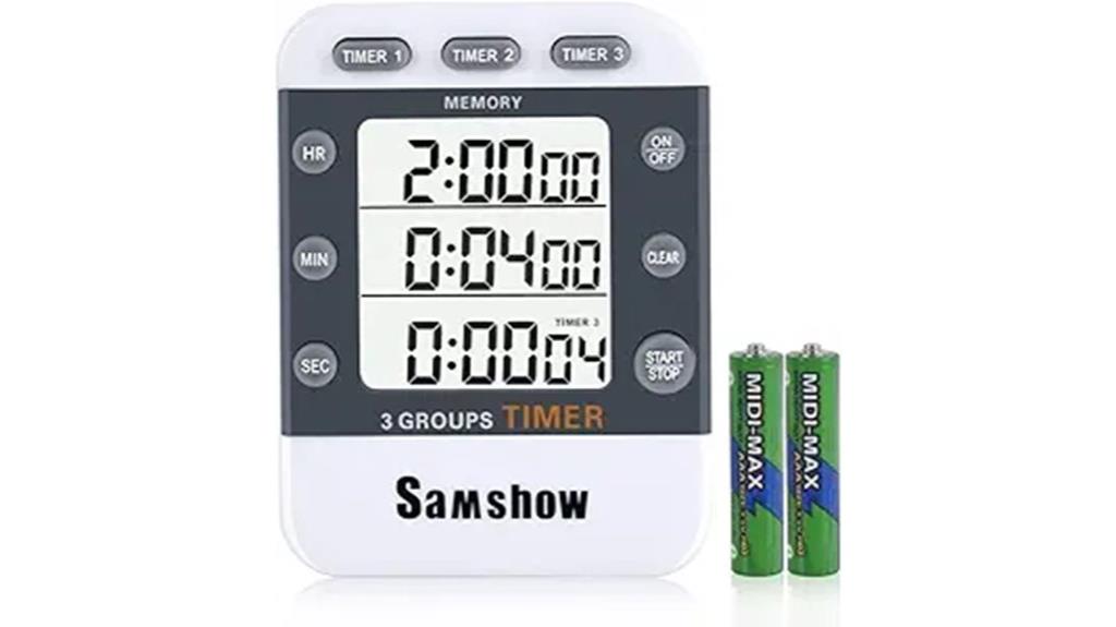 dual timer with large display