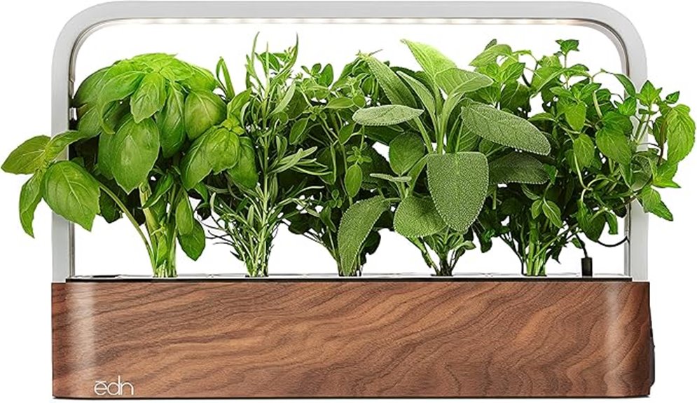 indoor basil seed pod garden