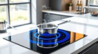 induction stoves revolutionize cooking
