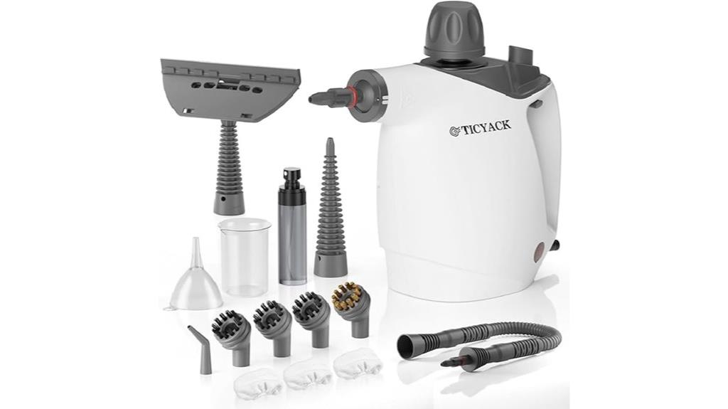 portable steam cleaning kit