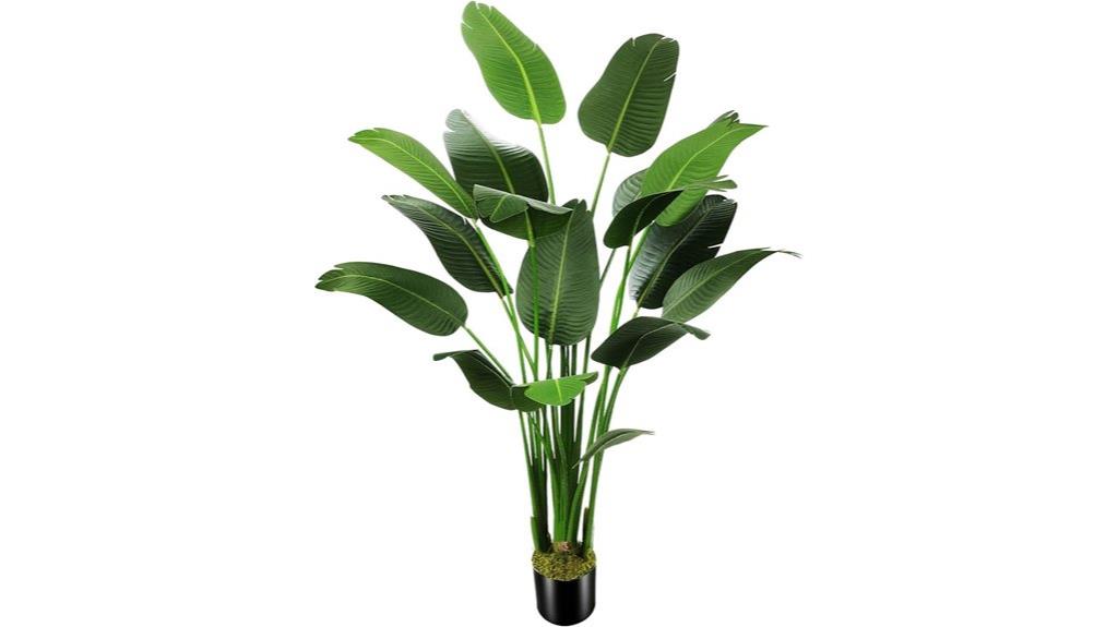 silk bird of paradise