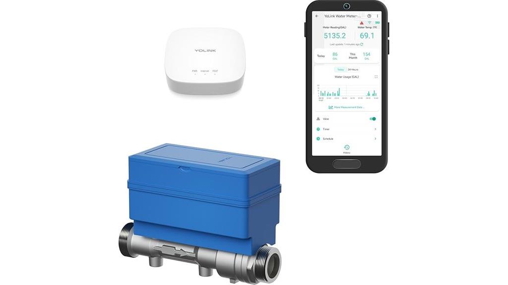 smart water meter with leak