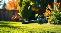 top 14 cordless leaf blowers