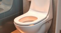 top heated bidet seat picks