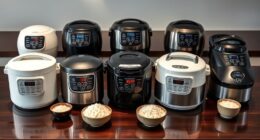 top japanese fuzzy logic rice cookers