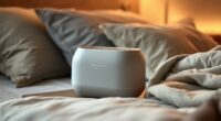 top white noise sleep machines