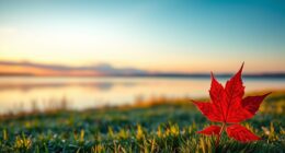 color symbolism and emotions