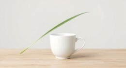 simplicity and functionality principles