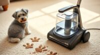 portable pet carpet cleaning