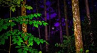 cameras perceive night colors