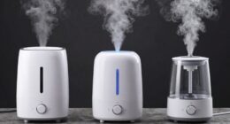 choose your humidifier type
