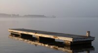 dock empties itself automatically