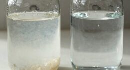 salt vs salt free softeners