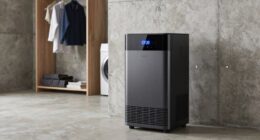 top basement dehumidifiers 2026