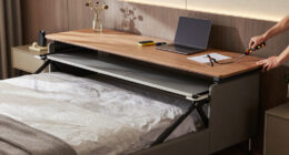 10 Best Best Murphy Bed Desk Combo Queen in 2026