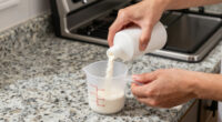 10 Best Countertop Formula Dispensers in 2026