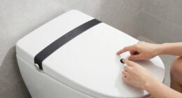 10 Best Smart Bidet Toilet Seats With Dryer in 2026