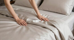 9 Best Best Silk Sheet Set Luxury in 2026