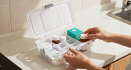 9 Best Trunk Organizers for Caregiving Supplies in 2026