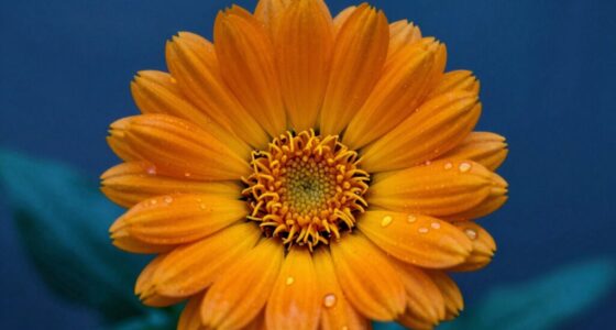 enhance visibility with contrast