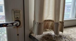 home struggles with daily use