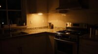 inadequate nighttime kitchen illumination