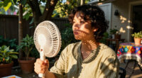 From mobile jungles to shadow art: how Dutch people try to beat the heat