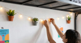 Best Dorm Room Decor Ideas Compared