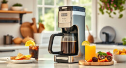 Make Summer Evenings Special with the Ninja Hot & Iced XL Coffee Maker